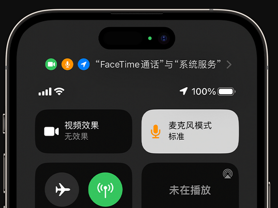 泰宁苹果授权维修网点分享iPhone在通话时让你的声音更清晰 