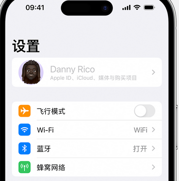 泰宁appleID维修服务iPhone设置中Apple ID显示为灰色无法使用 