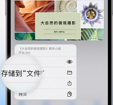 泰宁apple维修中心分享iPhone文件应用中存储和找到下载文件