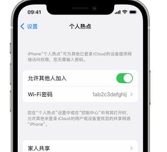 泰宁apple服务站点分享iPhone上个人热点丢失了怎么办