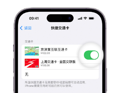 泰宁apple维修点分享iPhone上更换Apple Pay快捷交通卡手绘卡面 