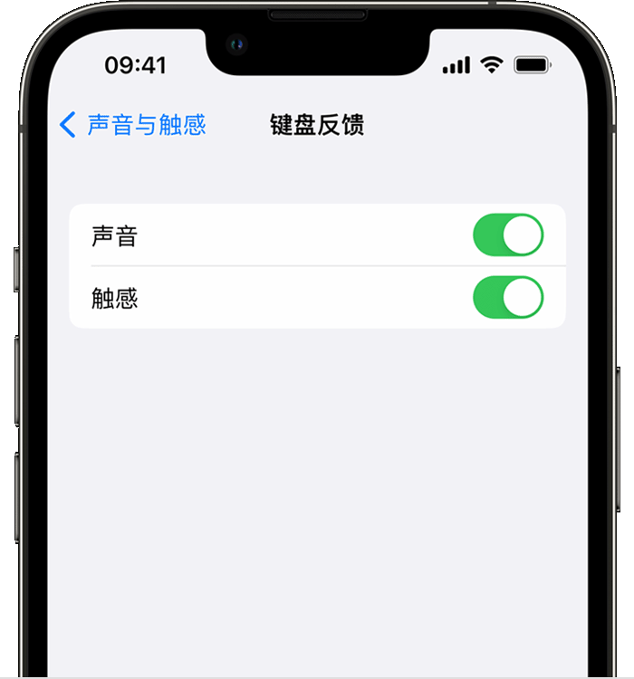泰宁苹果14维修店分享如何在 iPhone 14 机型中使用触感键盘 