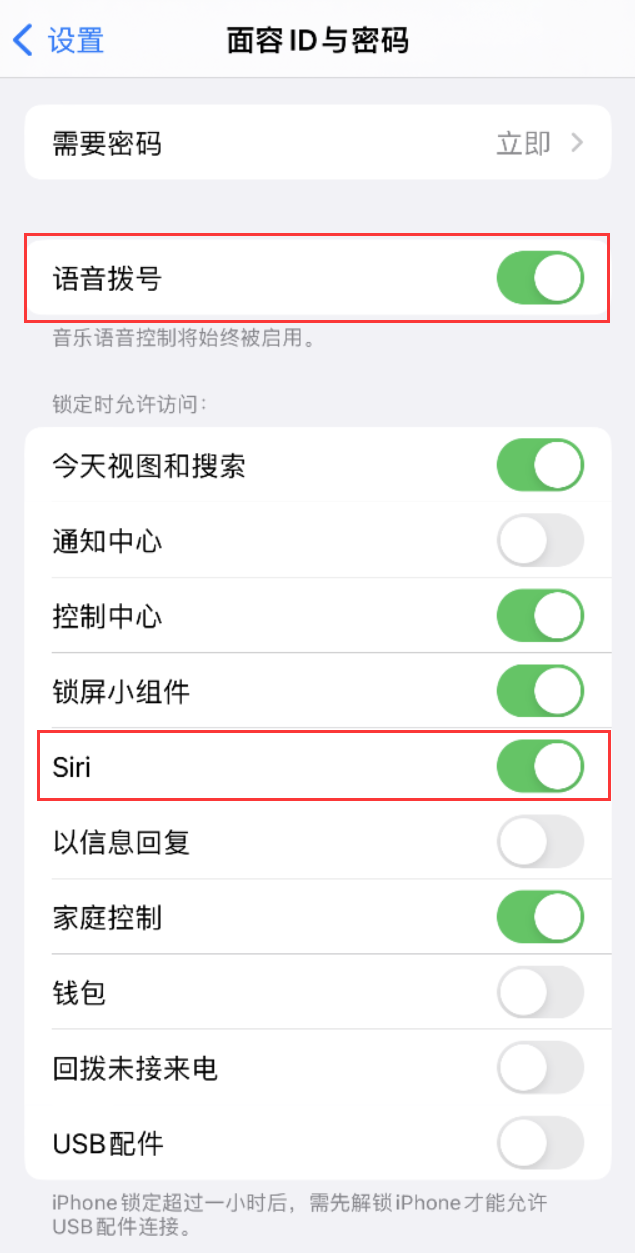 泰宁苹果维修网点分享不解锁 iPhone 的情况下通过 Siri 拨打电话的方法 