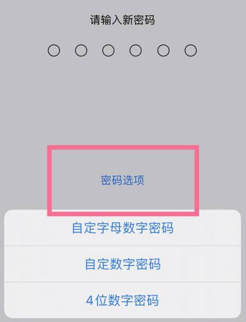 泰宁苹果14维修分享iPhone 14plus设置密码的方法 