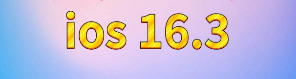泰宁苹果服务网点分享苹果iOS16.3升级反馈汇总 