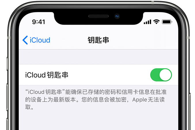 泰宁苹果手机维修分享在 iPhone 上开启 iCloud 钥匙串之后会储存哪些信息 