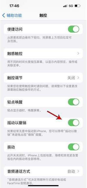 泰宁苹果手机维修分享iPhone手机如何设置摇一摇删除文字 